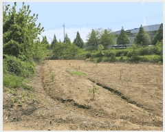  2025Ÿ��502376 ����Ư����ġ��  ���Ǹ� ������ 261      ����(��1)���