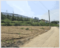  2025Ÿ��502376 ����Ư����ġ��  ���Ǹ� ������ 261      ����(��1)���