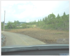  2025Ÿ��502376 ����Ư����ġ��  ���Ǹ� ������ 261      ����(��1)���