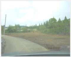  2025Ÿ��502376 ����Ư����ġ��  ���Ǹ� ������ 261      ����(��1)���