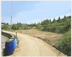  2025Ÿ��502376 ����Ư����ġ��  ���Ǹ� ������ 261      ����(��1)���