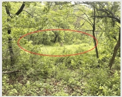  2025Ÿ��502404  �����