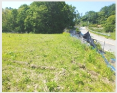  2025Ÿ��502404  �����