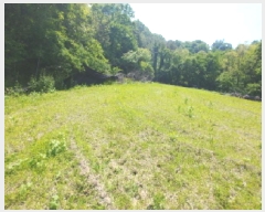  2025Ÿ��502404  �����