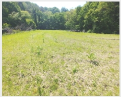  2025Ÿ��502404  �����