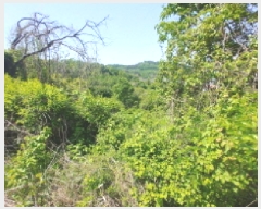  2025Ÿ��502404  �����