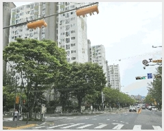  2025Ÿ��502521 ���� ���� ������ 612 �ʷϸ���2���� 201�� 13��1306ȣ    ����Ʈ���