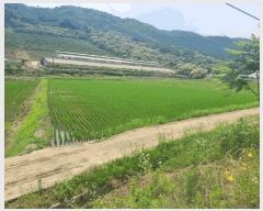  2025Ÿ��502674  ����