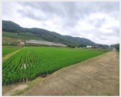  2025Ÿ��502674  ����