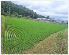  2025Ÿ��502674  ����