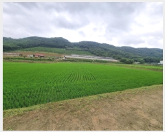  2025Ÿ��502674  ����