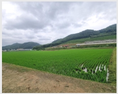  2025Ÿ��502674  ����