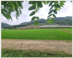  2025Ÿ��502674  ����