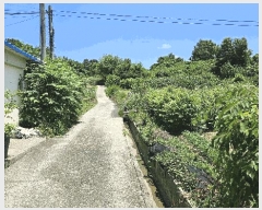  2025Ÿ��502702  �����