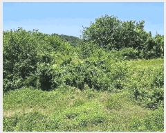  2025Ÿ��502702  �����