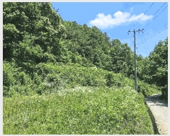  2025Ÿ��502702  �����