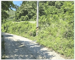  2025Ÿ��502702  �����