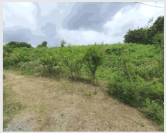  2025Ÿ��502779  ���ð��