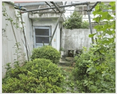  2025Ÿ��502810  ���ð��