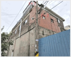  2025Ÿ��502810  ���ð��