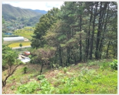  2025Ÿ��503479 ���� ���� ������ ��54-4       ����(�Ӿ�)���