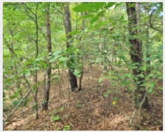  2025Ÿ��503479 ���� ���� ������ ��54-4       ����(�Ӿ�)���