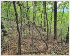  2025Ÿ��503479 ���� ���� ������ ��54-4       ����(�Ӿ�)���