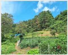  2025Ÿ��503479 ���� ���� ������ ��54-4       ����(�Ӿ�)���