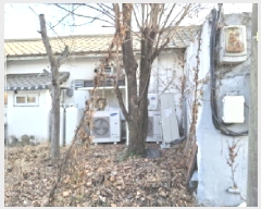  2025Ÿ��372  �󰡰��