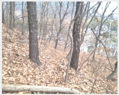  2025Ÿ��969 ���� ���� ������ 140-20       ����(�Ӿ�)���