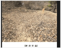  2025Ÿ��969 ���� ���� ������ 140-20       ����(�Ӿ�)���