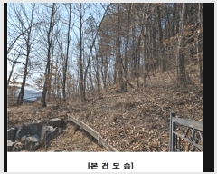  2025Ÿ��969 ���� ���� ������ 140-20       ����(�Ӿ�)���