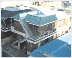  2025Ÿ��1306 ���� ����� �񷡵� 139-5       ���ð��