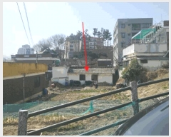  2025Ÿ��1795 ���� ����� ��ȭ�� 35-688       ���ð��