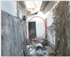  2025Ÿ��1795 ���� ����� ��ȭ�� 35-688       ���ð��