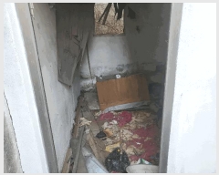  2025Ÿ��1795 ���� ����� ��ȭ�� 35-688       ���ð��