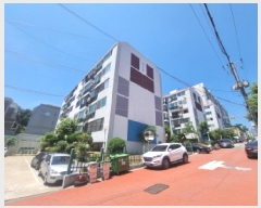  2025Ÿ��3544  ����Ʈ���