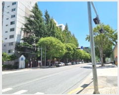  2025Ÿ��3643  ����Ʈ���