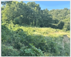  2025Ÿ��3657  �Ӿ߰��