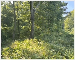  2025Ÿ��3657  �Ӿ߰��