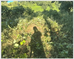  2025Ÿ��3657  �Ӿ߰��