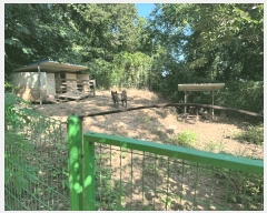  2025Ÿ��3657  �Ӿ߰��