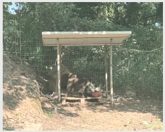  2025Ÿ��3657  �Ӿ߰��