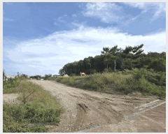  2025Ÿ��3867 ����Ư����ġ�� ������ ���Ǹ� 217-28       ����(�Ӿ�)���