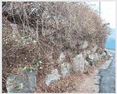  2025Ÿ��3987 �泲 �ݻ걺 �θ��� ������ 202      ���ð��