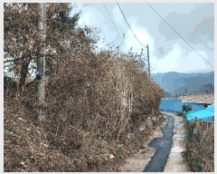  2025Ÿ��3987 �泲 �ݻ걺 �θ��� ������ 202      ���ð��