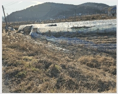  2025Ÿ��4022 ����Ư����ġ�� �ݳ��� ���ϸ� 107       ����(��)���