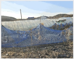  2025Ÿ��4022 ����Ư����ġ�� �ݳ��� ���ϸ� 107       ����(��)���