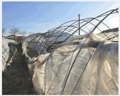  2025Ÿ��4022 ����Ư����ġ�� �ݳ��� ���ϸ� 107       ����(��)���