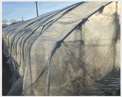  2025Ÿ��4022 ����Ư����ġ�� �ݳ��� ���ϸ� 107       ����(��)���